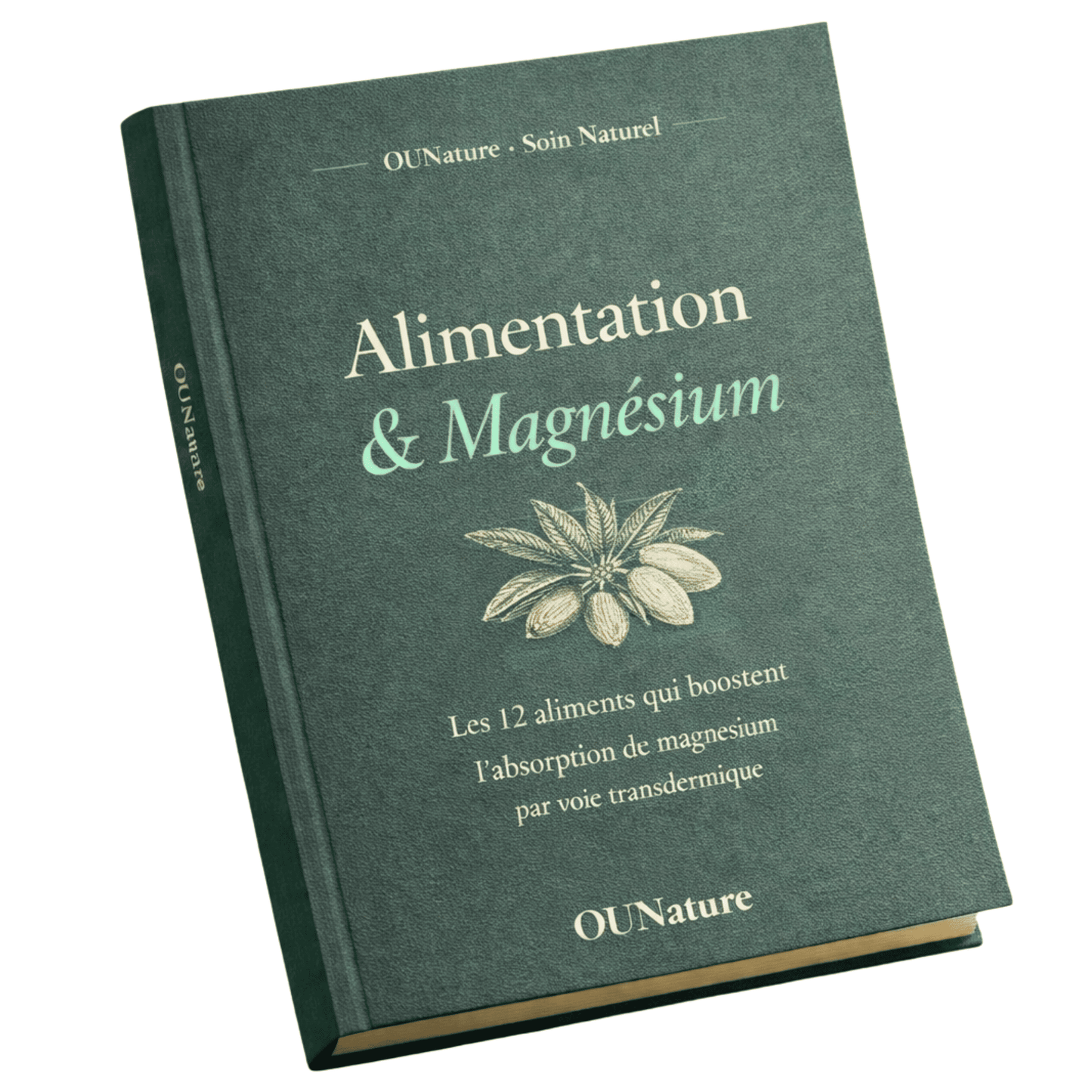 Livre : Alimentation & Magnésium